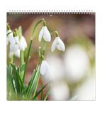 mellan familjekalender - veckoöversikt (vaggkalender)