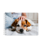 Kalender - Spiralbindung Groß