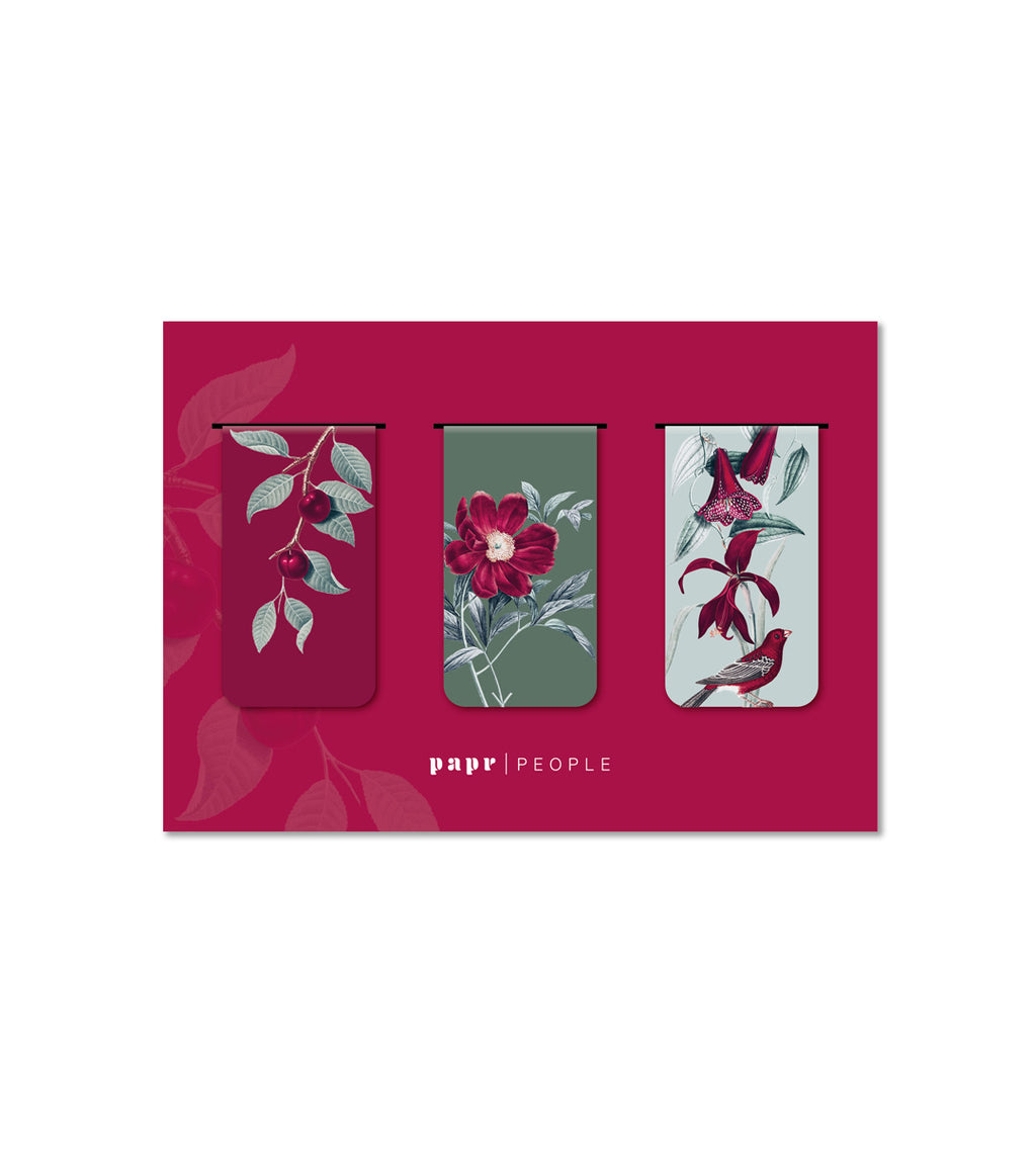 Lesezeichen - Magnetische Lesezeichen – 3er-Set