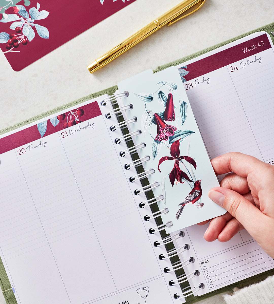 Trenner - Snap In-Trenner für Kalender - 3er Set