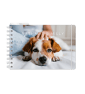 Almanacka - Spiralbindning Stor - Personal Planner