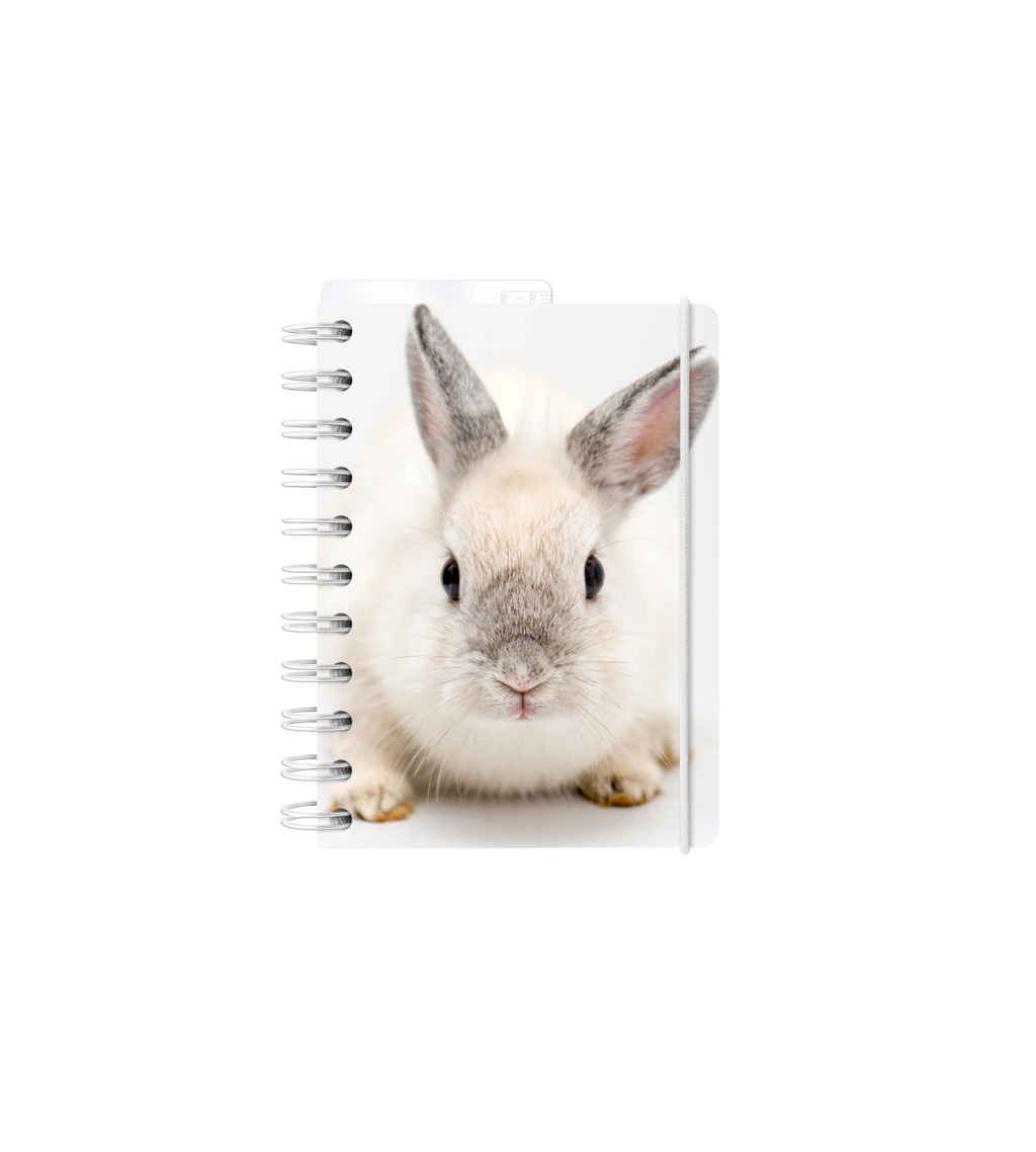 Notizbuch - Spiralbindung A6