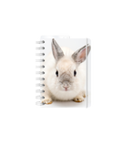 Notizbuch - Spiralbindung A6