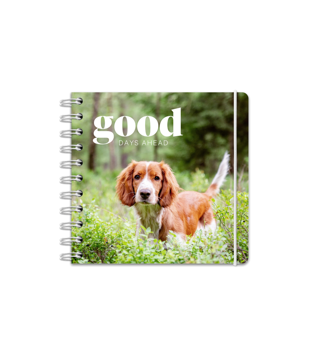 Kalender - Spiralbindung Mittel