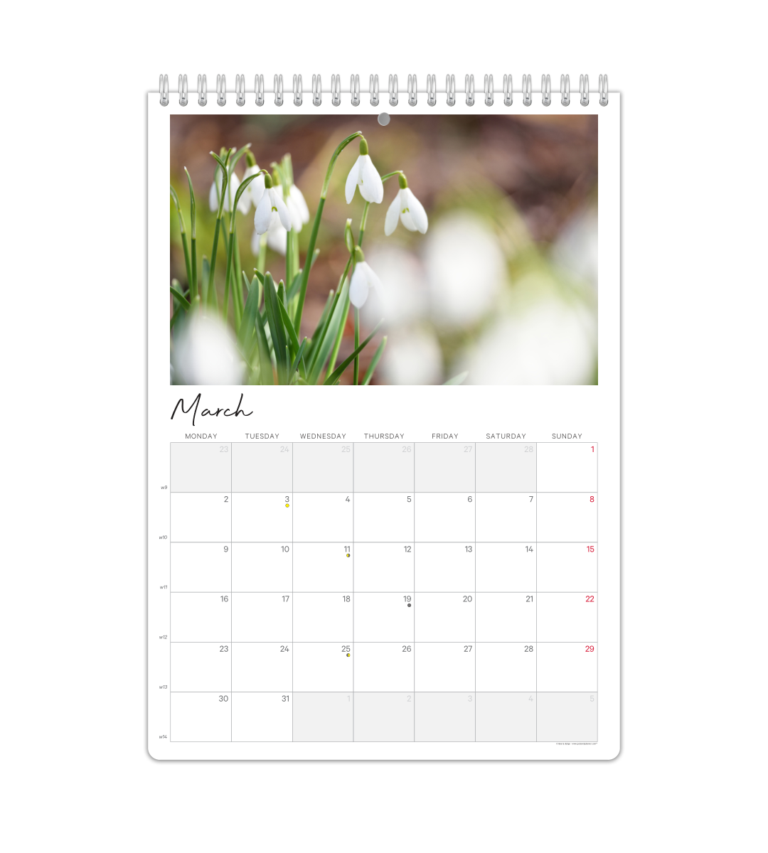 Fotokalender - Monatsübersicht