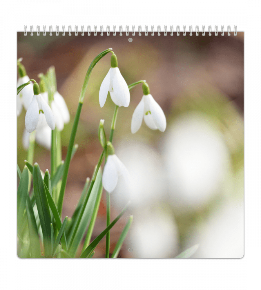 Familjekalender - Veckoöversikt - Personal Planner